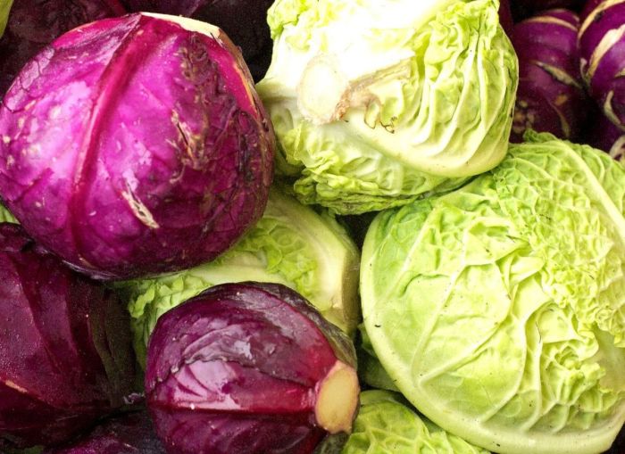 How to cook red cabbage southern style